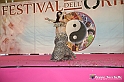 VBS_4599 - Festival dell'Oriente 2022